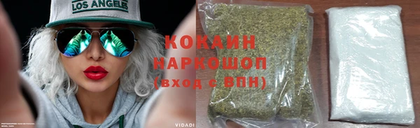 сатива Нижний Тагил
