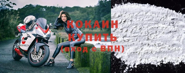 дживик Кулебаки