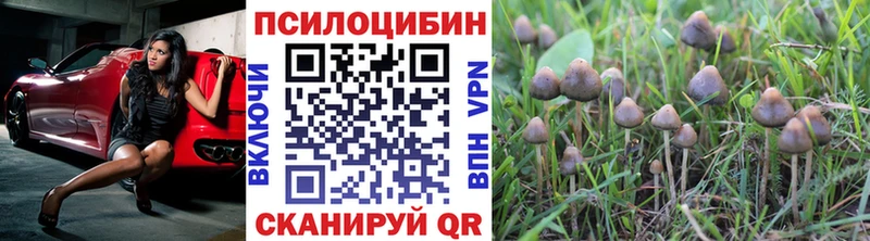 Галлюциногенные грибы мухоморы  Малгобек 